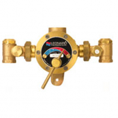 Leonard TM-50-AT-LF-CP Valve with Checkstops for low temperature