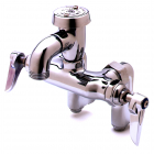 T&amp;S BRASS B-0669-POL Service Sink Faucet