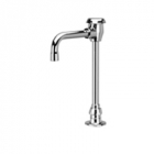 Zurn Z821T0-XL Deck-Mounted 4-1/2in Vacuum Breaker Spout. Lead-free