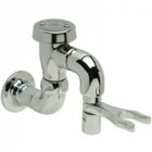 Zurn Z800P0-HK-SE Wall Supply with a 1/2in Vacuum Breaker and Hose Hook.