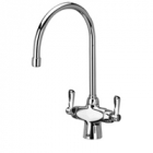 Zurn Z826C1-XL Laboratory Faucet - Double Lead-free
