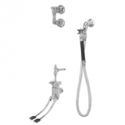 Zurn Z85500-XL-WM-EVB-HK-SE-SH-VC Lead-Free Bedpan Washer