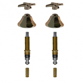 Replacement American Brass* 2 Valve Rebuild Kit