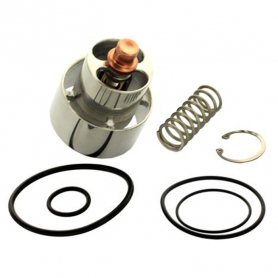 Leonard KIT R/LV982 REBUILDING KIT--LV-982 THERMOSTATIC