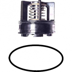 Watts 009M3 3/4IN 2nd Check Kit -Also Fits Lead Free