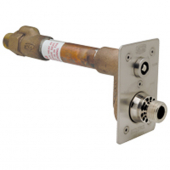 Zurn Z1321XL-3-4x20-PB-WC<br>  Exposed Non-Freeze  Wall Hydrant