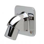 Zurn Z7000-I2<br> Institutuional Wall Mount Shower Head